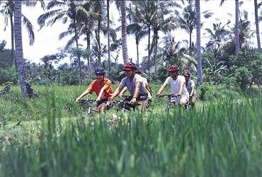 bali-cycling-jatiluwih-rice-paddy-cycling-tours