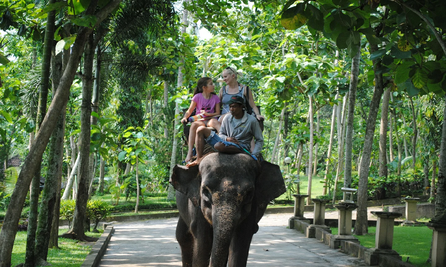 bali-bakas-elephant-ride-tour