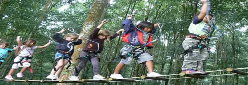 bali-tree-top-adventure-park-tour