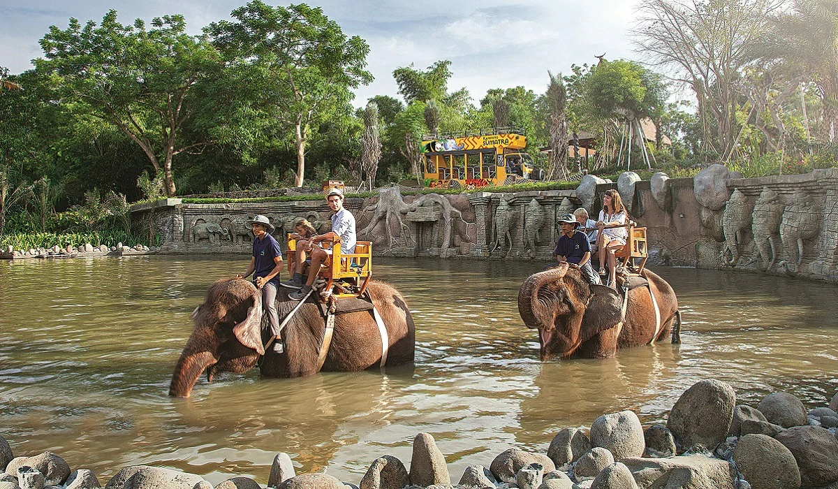 bali-zoo-elephant-ride-tour