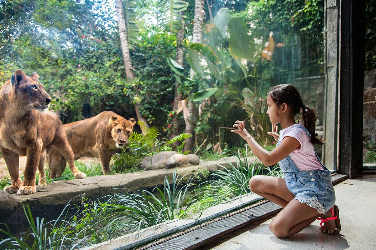 bali-zoo-explorer
