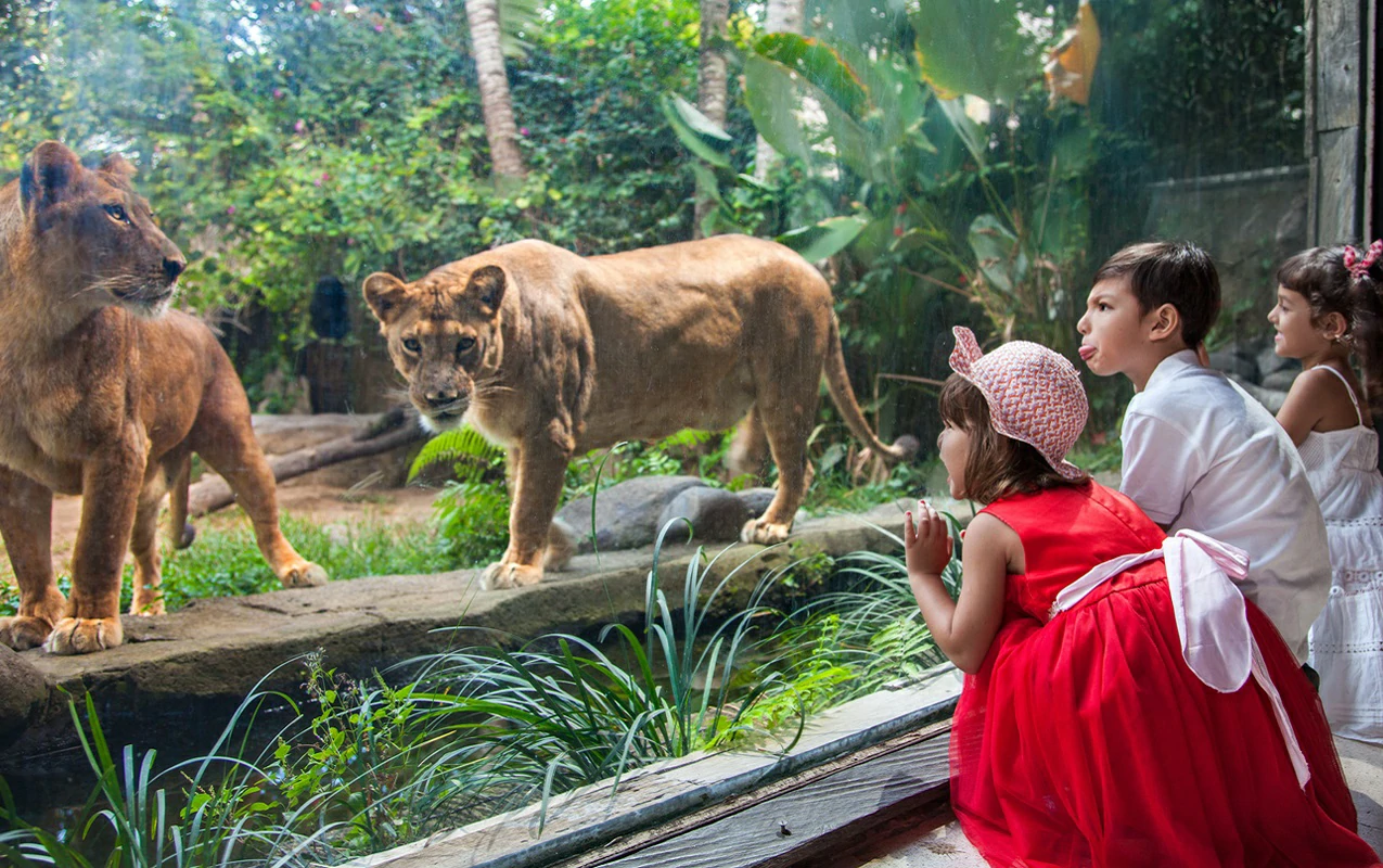 bali-zoo-park-tours