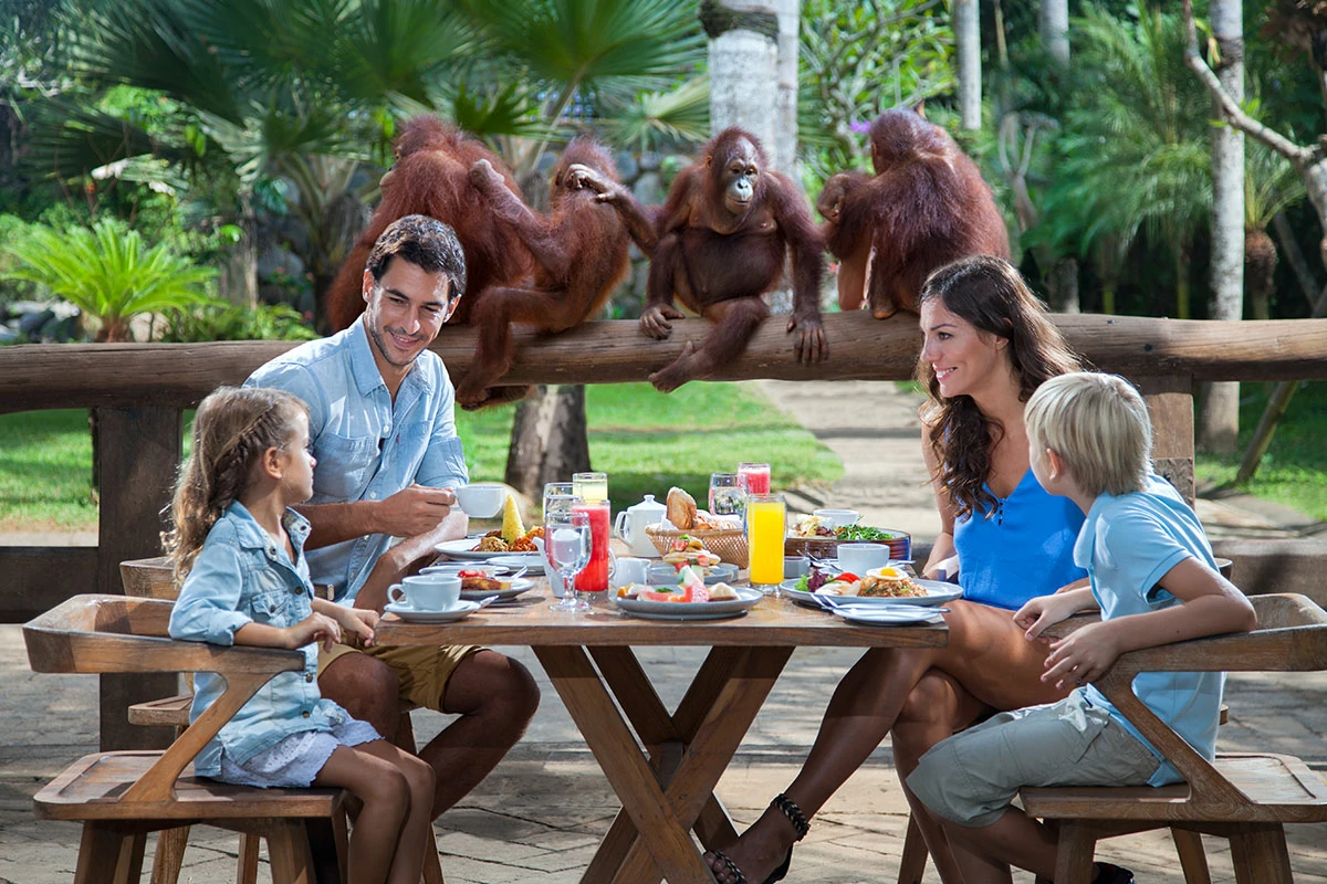 breakfast-with-orang-utan