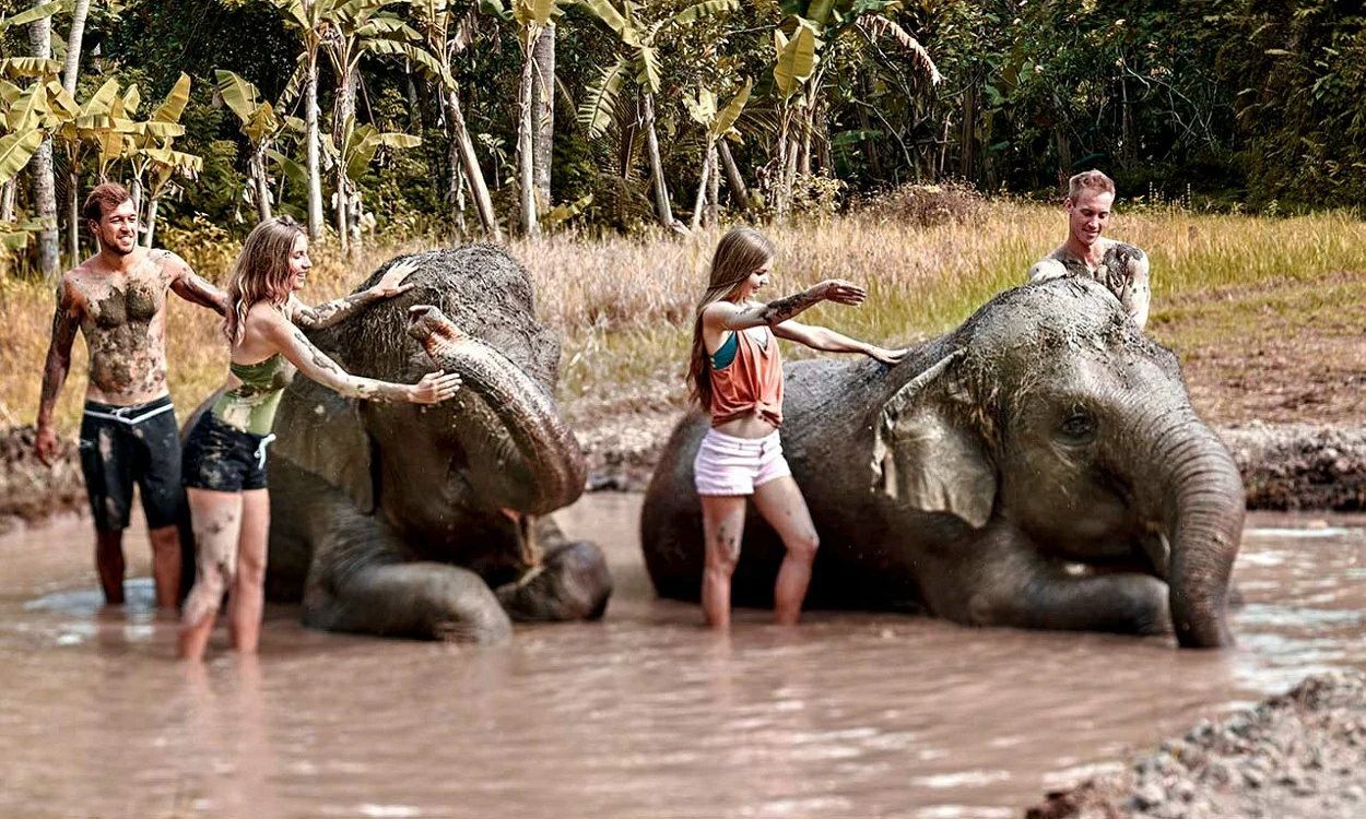 elephant-mud-fun