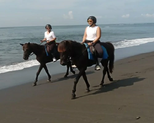 horse-riding-1-tours-bali-golden-tour