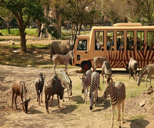 safari-journey