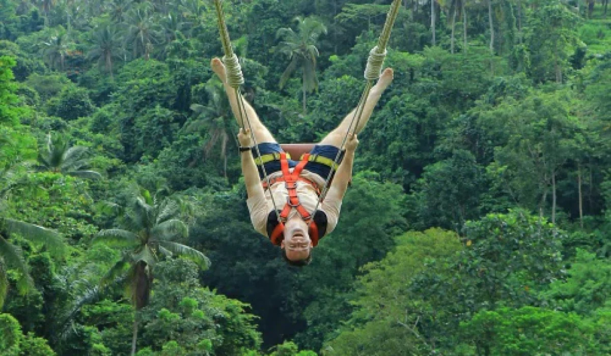 aloha-adrenaline-swing