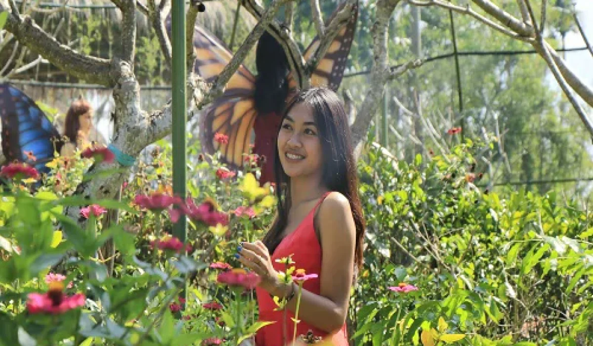 aloha-butterfly-park