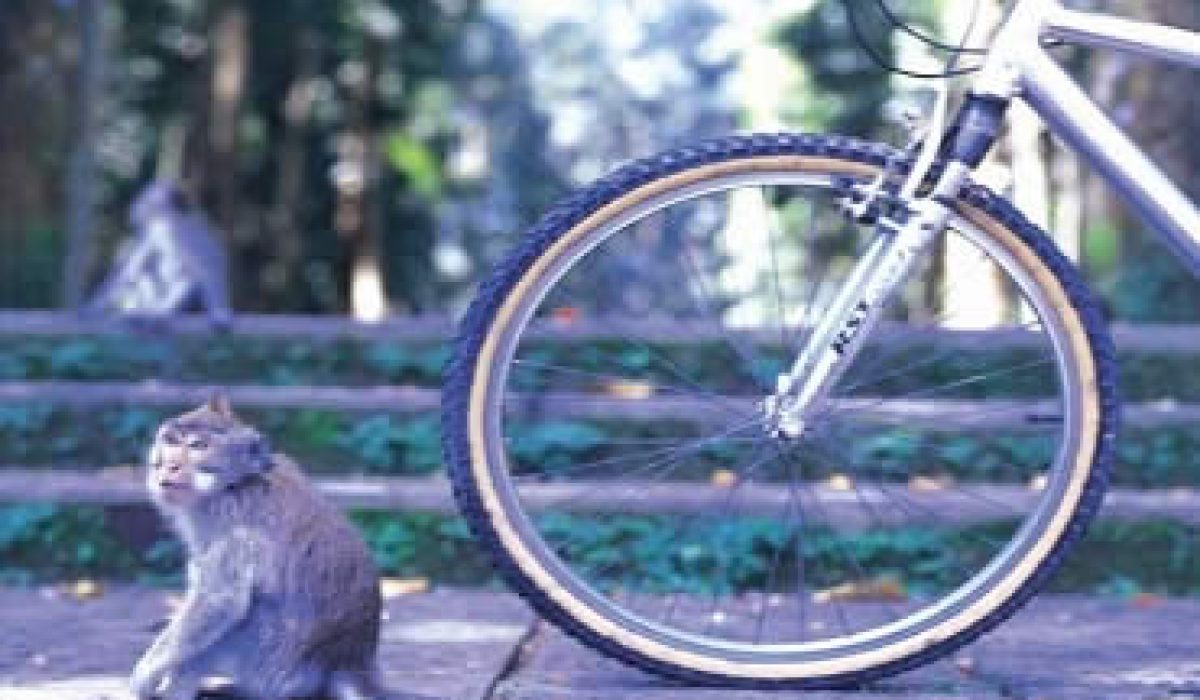 bali-cycling-balinese-village-cycling-tours