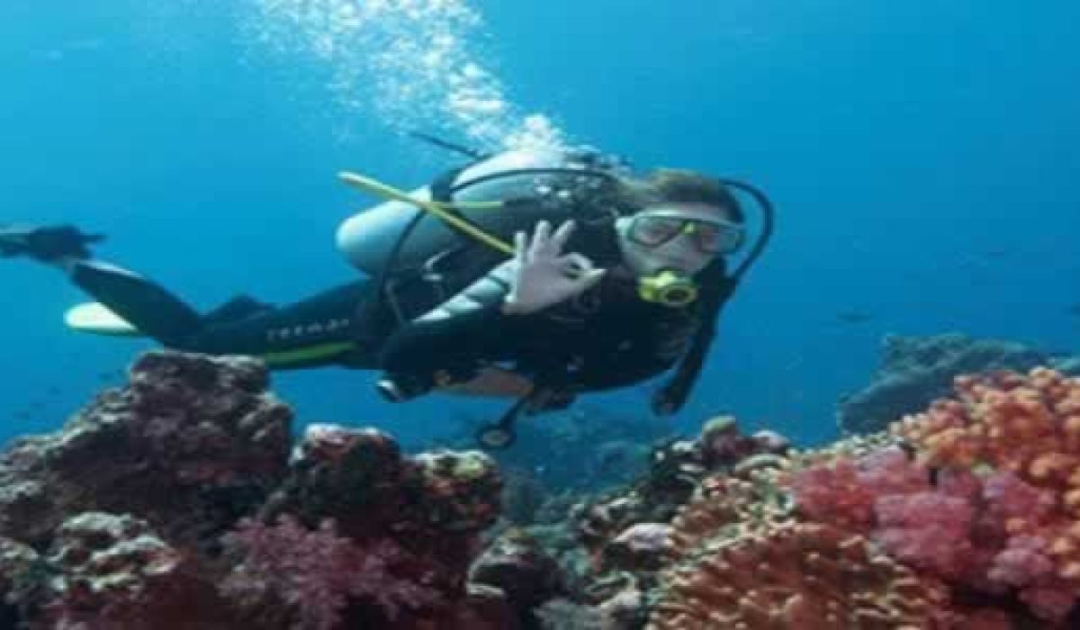 bali-diving-tour
