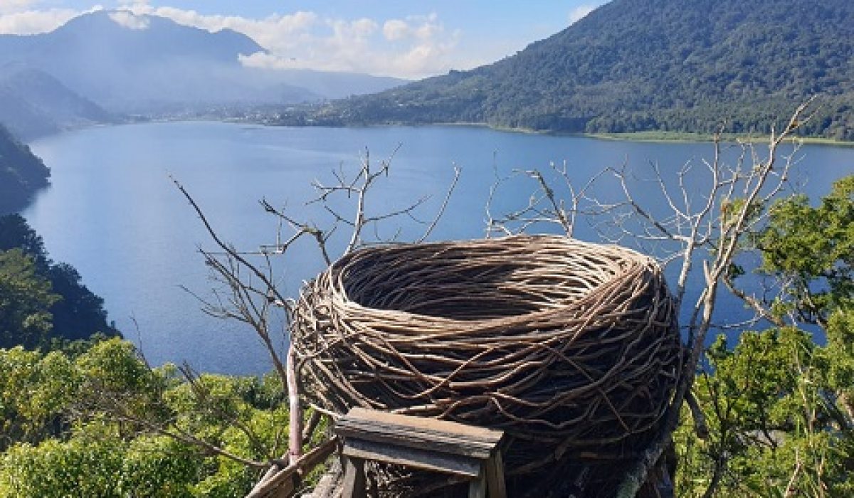 bali-wanagiri-hidden-hill-1