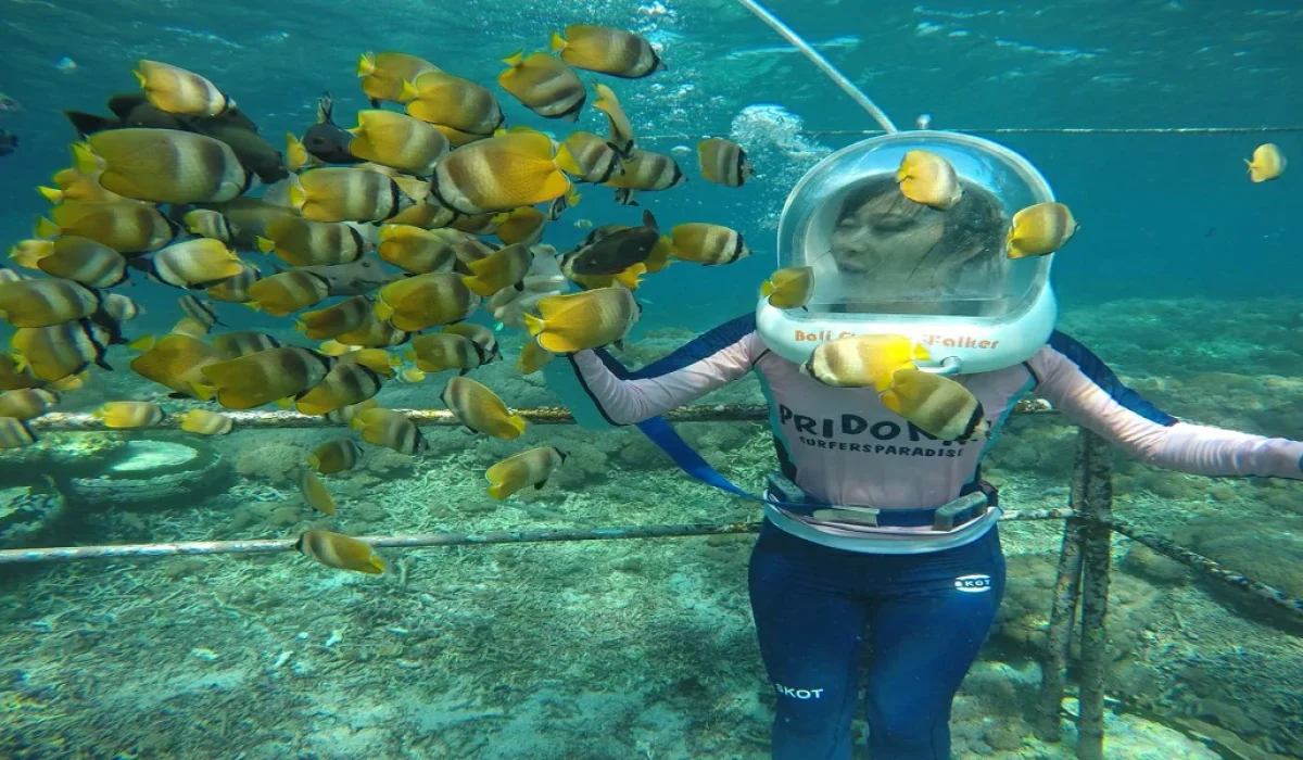 bali-water-sports-ocean-walker