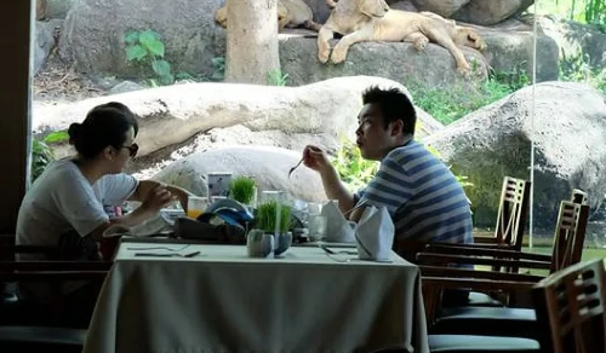 breakfast-with-lion-1